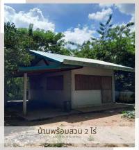 ขายหรือให้เช่าบ้านสวนที่ภูเวียง 2 ไร่ พร้อมโรงเรือน 1 หลัง 