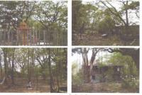 ที่ดินพร้อมสิ่งปลูกสร้างหลุดจำนอง ธ.ธนาคารกรุงไทย ขอนแก่น เมืองขอนแก่น พระลับ