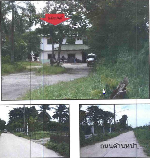 ที่ดินพร้อมสิ่งปลูกสร้างหลุดจำนอง ธ.ธนาคารกรุงไทย ขอนแก่น เมืองขอนแก่น ศิลา