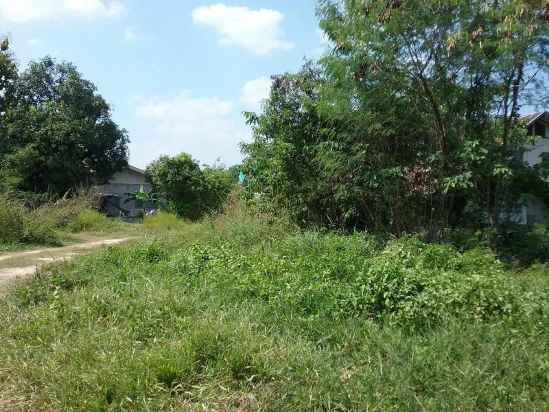 ที่ดินเปล่าหลุดจำนอง ธ.ธนาคารกรุงไทย ขอนแก่น เมืองขอนแก่น ศิลา