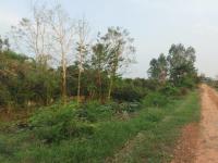 ที่ดินว่างเปล่าหลุดจำนอง ธ.ธนาคารกสิกรไทย ขอนแก่น เมืองขอนแก่น ศิลา