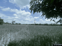 ที่ดินว่างเปล่าหลุดจำนอง ธ.ธนาคารกสิกรไทย ขอนแก่น บ้านฝาง บ้านเหล่า