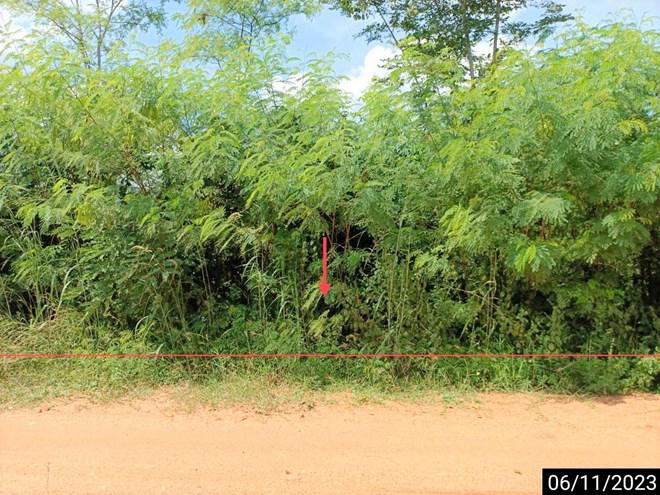 ที่ดินว่างเปล่าหลุดจำนอง ธ.ธนาคารกสิกรไทย ขอนแก่น มัญจาคีรี กุดเค้า