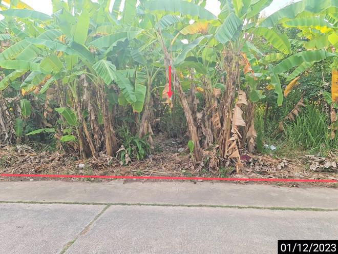 ที่ดินว่างเปล่าหลุดจำนอง ธ.ธนาคารกสิกรไทย ขอนแก่น เมืองขอนแก่น ในเมือง