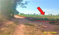 ที่ดินว่างเปล่าหลุดจำนอง ธ.ธนาคารกสิกรไทย ขอนแก่น หนองเรือ โนนทอง
