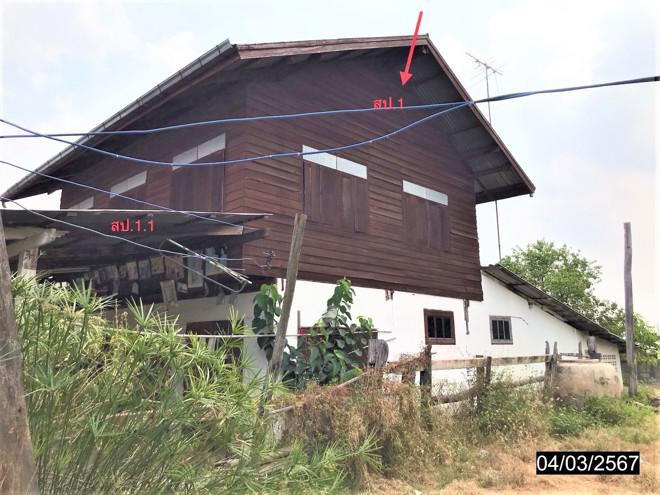 บ้านเดี่ยวหลุดจำนอง ธ.ธนาคารกสิกรไทย ขอนแก่น บ้านไผ่ หนองน้ำใส
